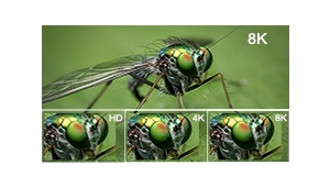 What are the differences between 4K and 8K?