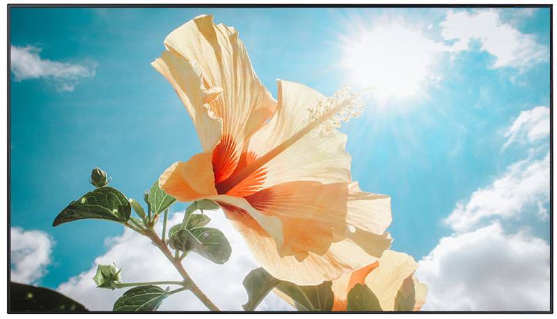 LG High Brightness Display